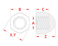 Line Drawing for Acorn Nuts